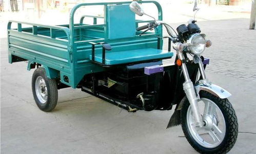 生命奇跡與愛的堅守 植物人母親誕下健康嬰兒